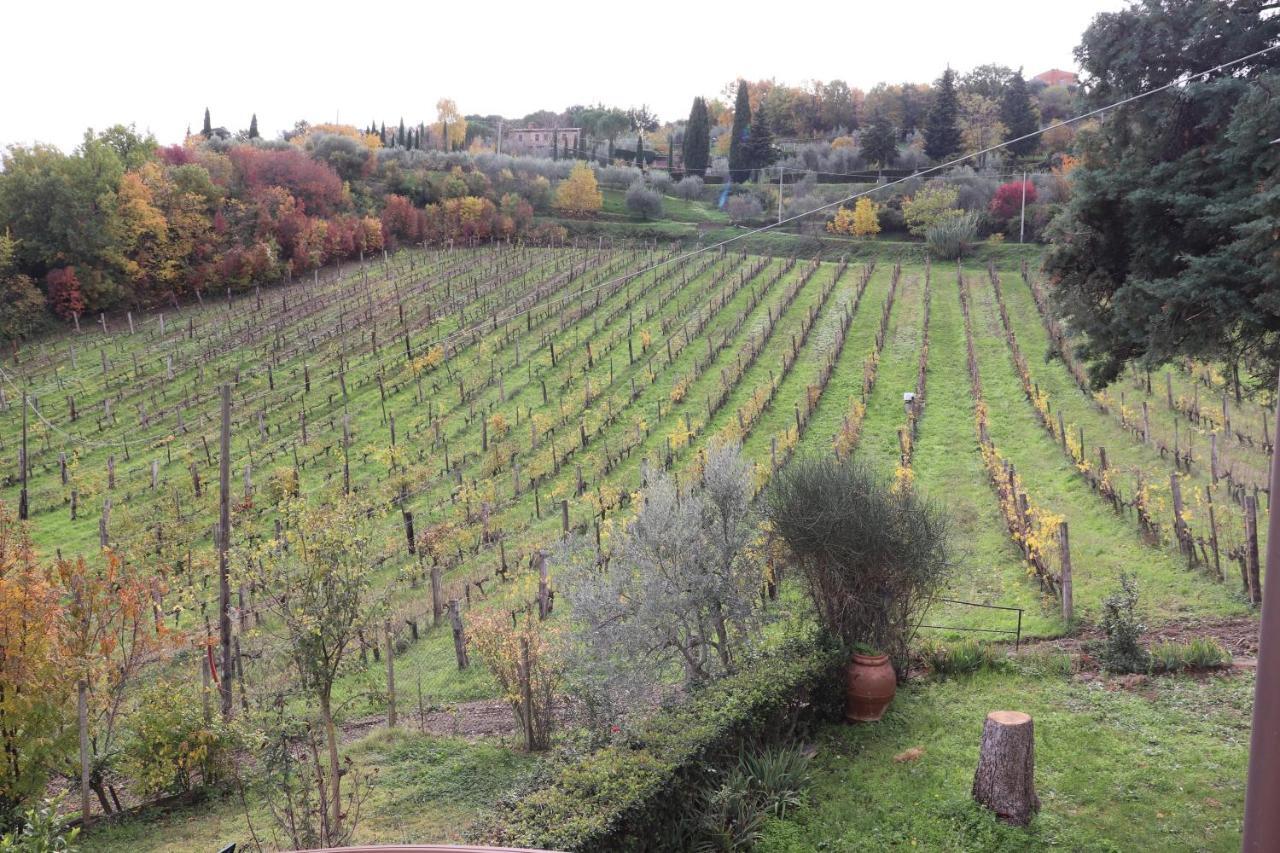 Agroturismo Azienda Agraria La Casella *