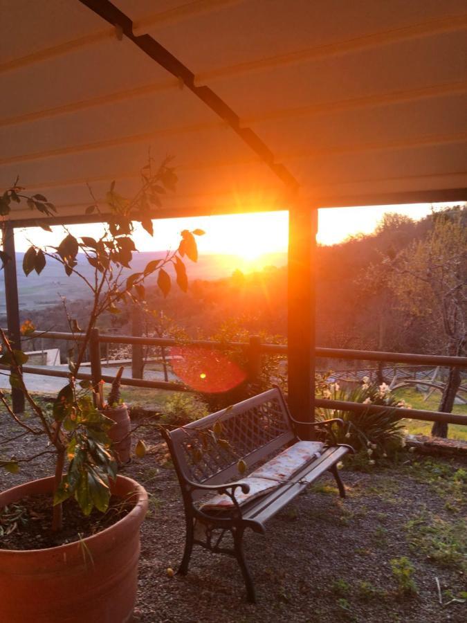 Vakantieboerderij Azienda Agraria La Casella Montalcino