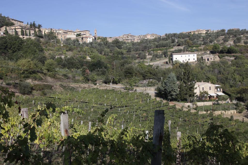 Azienda Agraria La Casella Vakantieboerderij Montalcino