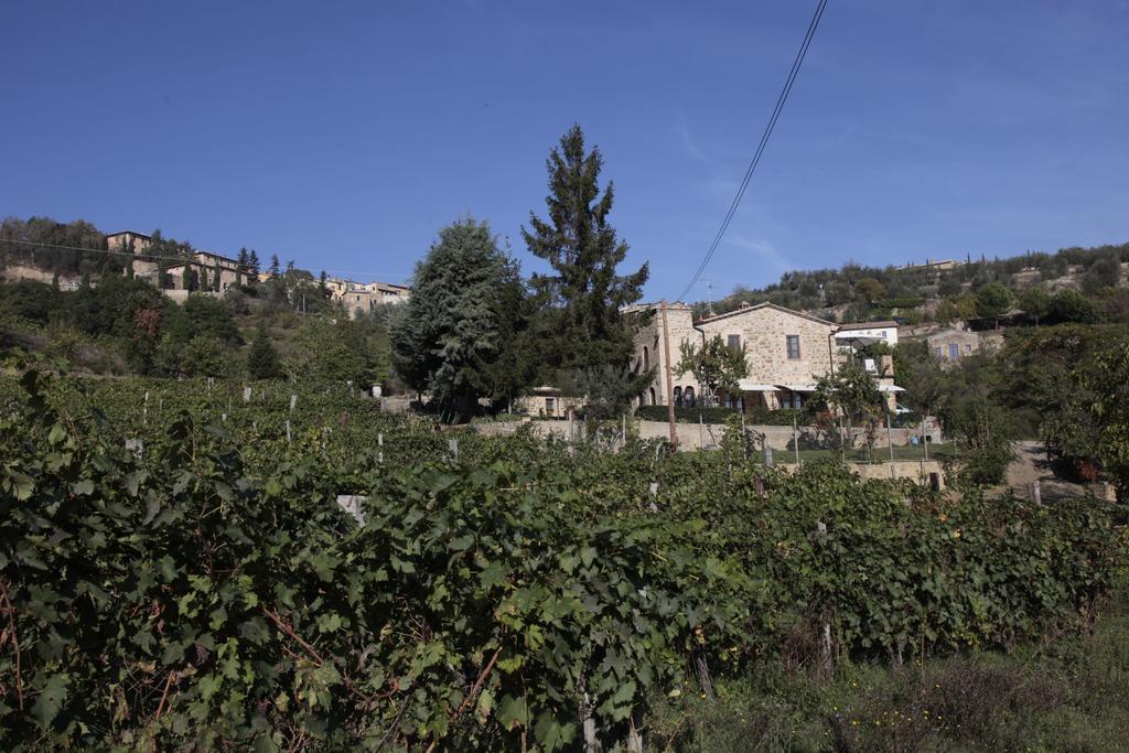 Azienda Agraria La Casella Montalcino