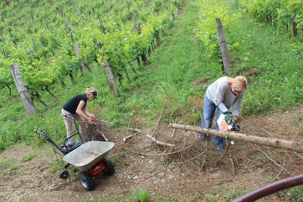 Azienda Agraria La Casella