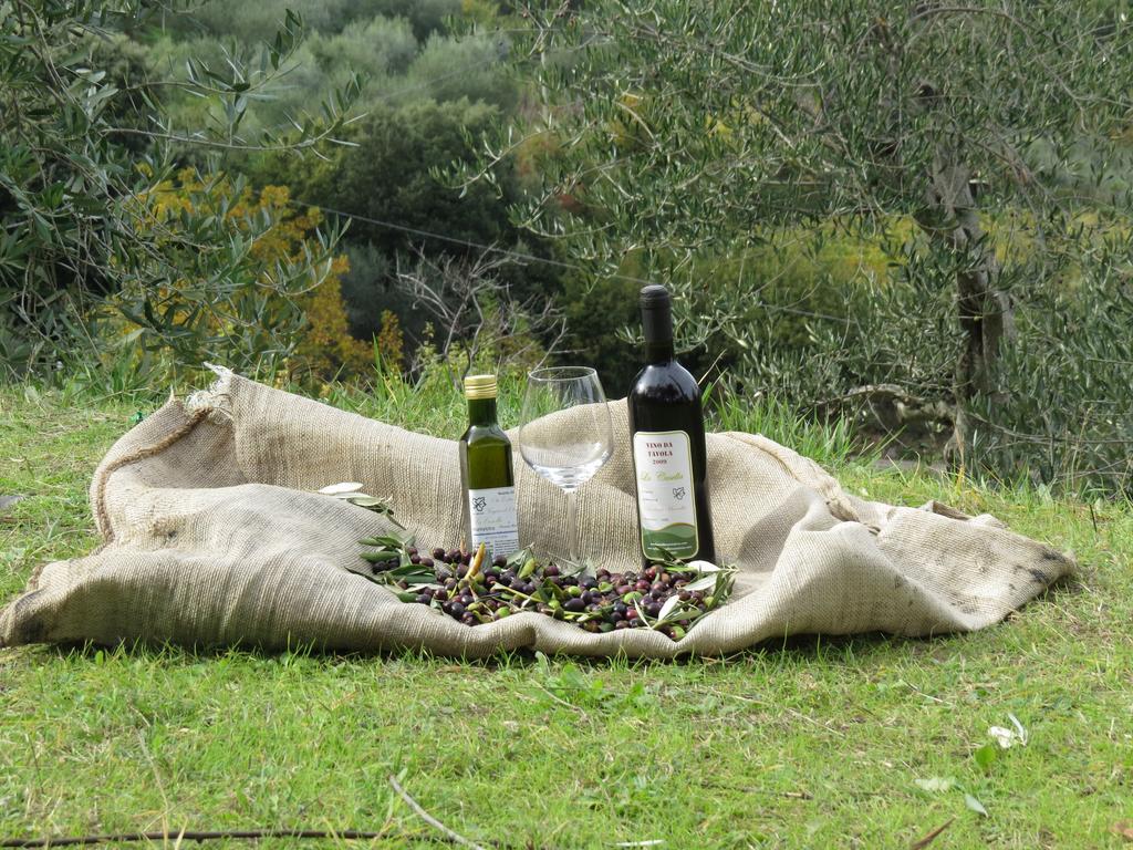 Azienda Agraria La Casella *