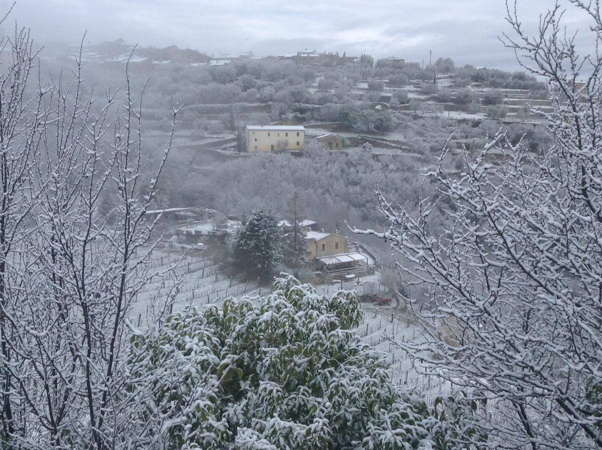 Azienda Agraria La Casella Vakantieboerderij *